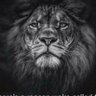 H D's profile picture