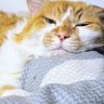 Profilbild von すやすや⚽️🐈‍⬛🔭🎹…🌧️…🌈🐈🐾