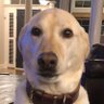 CarterND's profile picture