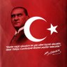 Ayşe Ergan's profile picture