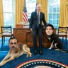 Фото профиля Nawaz Ki Baap