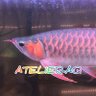 Фото профиля AQK5