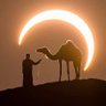 Profilbild von 🇩🇿🐪🐪🐪🌴الفرزدق