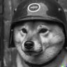 Dogg 的头像