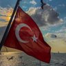 Yasemin ღ's profile picture