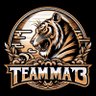 teammat3 profil fotoğrafı