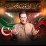 PTI overseas official's profile picture