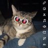 🥊 profil fotoğrafı