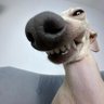 Profilbild von tay