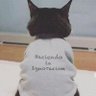 ANDREA C.'s profile picture