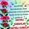 Baycu AYHAN's profile picture