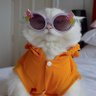 Hanadi's profile picture