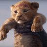 ~simba profil fotoğrafı