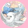 ぱぴぷぺぽ 的头像