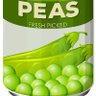 Can0peaz 的头像