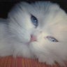 Фото профиля Anaindy