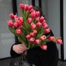 𝔸𝕤𝕝𝕒𝕟 🕊️ profil fotoğrafı