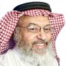 عباس شرقاوي 的头像