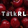 TalkRL Podcast 的头像