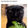 VF's profile picture