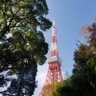 ナーボー's profile picture
