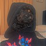 SkratchDaKubolor's profile picture
