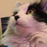 Ramon Red's profile picture
