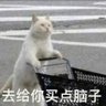 沉林's profile picture