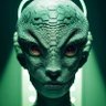 Daracnio profil fotoğrafı