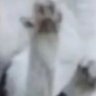 Profilbild von Ha, Ra,
