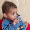 ضياء الموسوي profil fotoğrafı