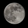Profilbild von Moon Geezer