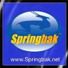 Profilbild von Springbak, Inc.
