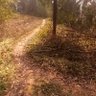 一般路过的树根 的头像