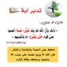 محمود يحيى profil fotoğrafı