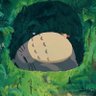 sunshine's profile picture