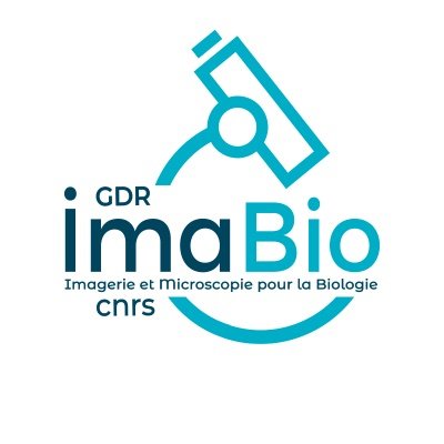 GDR_ImaBio's profile picture