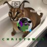 Profilbild von christonar_official๐