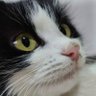 Zara's profile picture