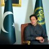 Ayesha Khan's profile picture
