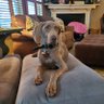 Maggie 🇺🇸's profile picture