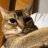 Blk_mina profil fotoğrafı