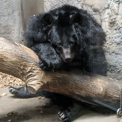 ExtenzaRr2x's profile picture
