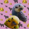 Profilbild von takaちゃん👑🐃