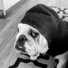 Profilbild von treeknee909