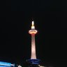 さるぼん's profile picture