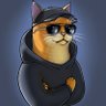 ChatDuChaos's profile picture