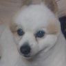 Profilbild von 絶句。 ぜっくん。