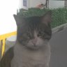Esin Deniz's profile picture