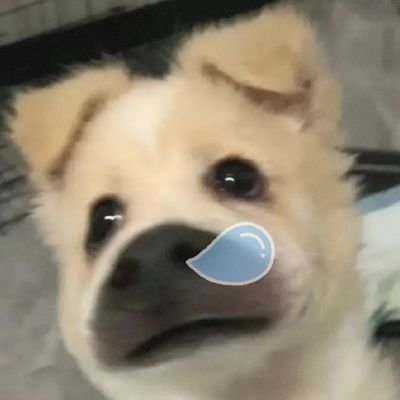 Bimbo33779_i's profile picture